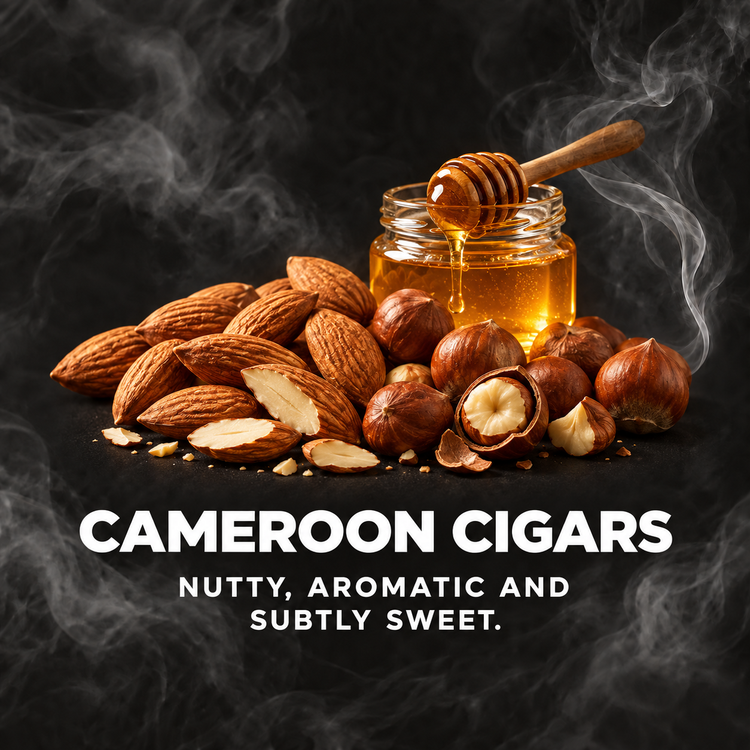 Nuts and honey still life, representing nutty, sweet Cameroon wrapper cigars